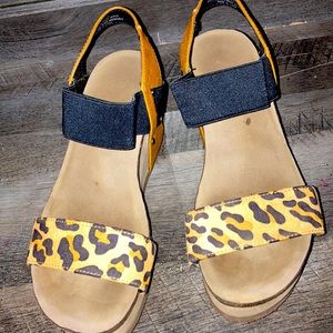Cheetah wedges